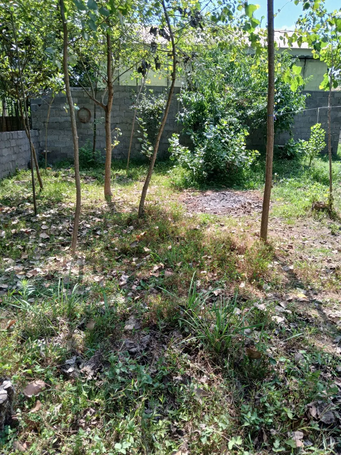 فروش زمین