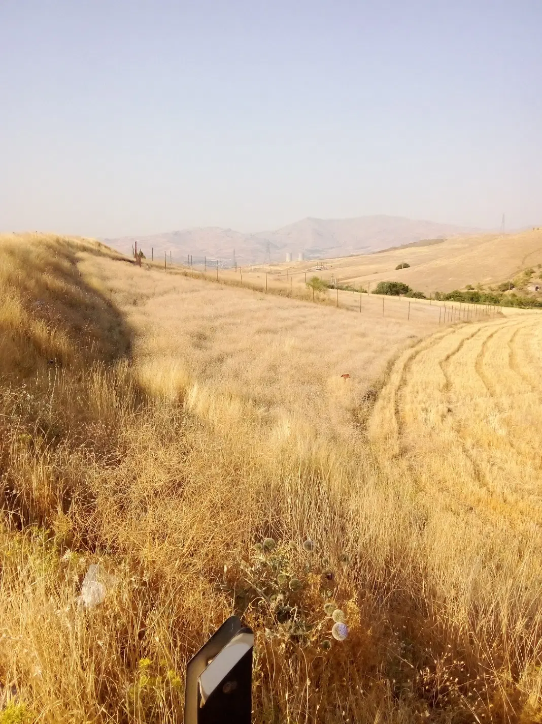 زمین کشاورزی