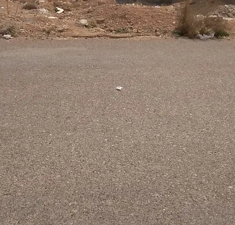 زمین مسکونی البرز ۷