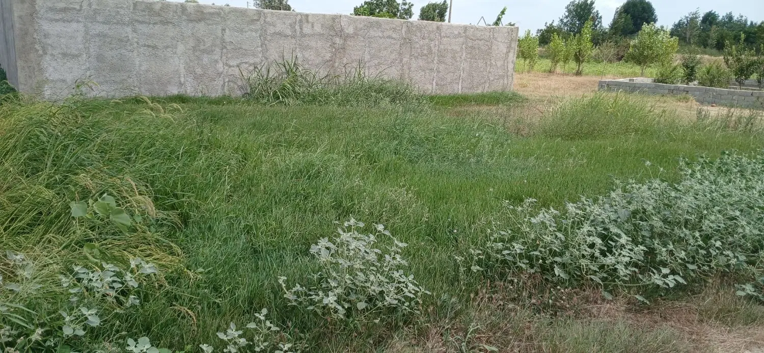زمین فروشی بهشهر