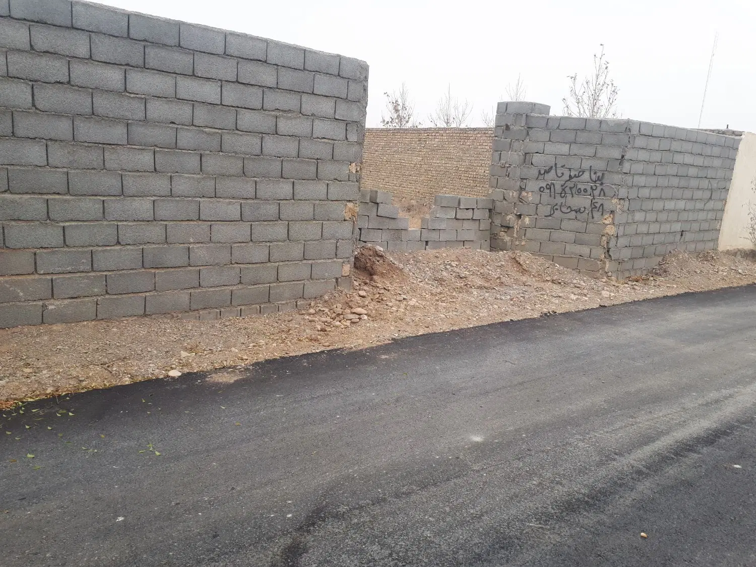 زمین باغی