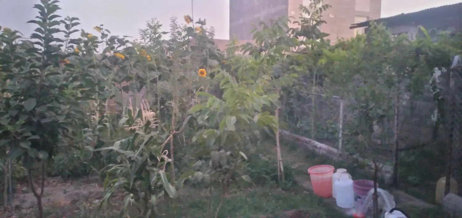 ملک تجاری.مسکونی