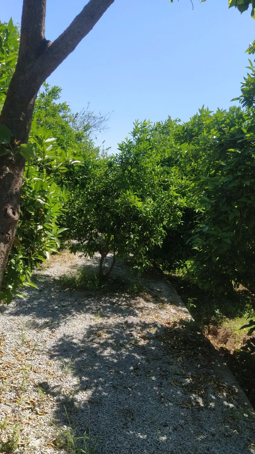 معاوظه باغچه .ویلا