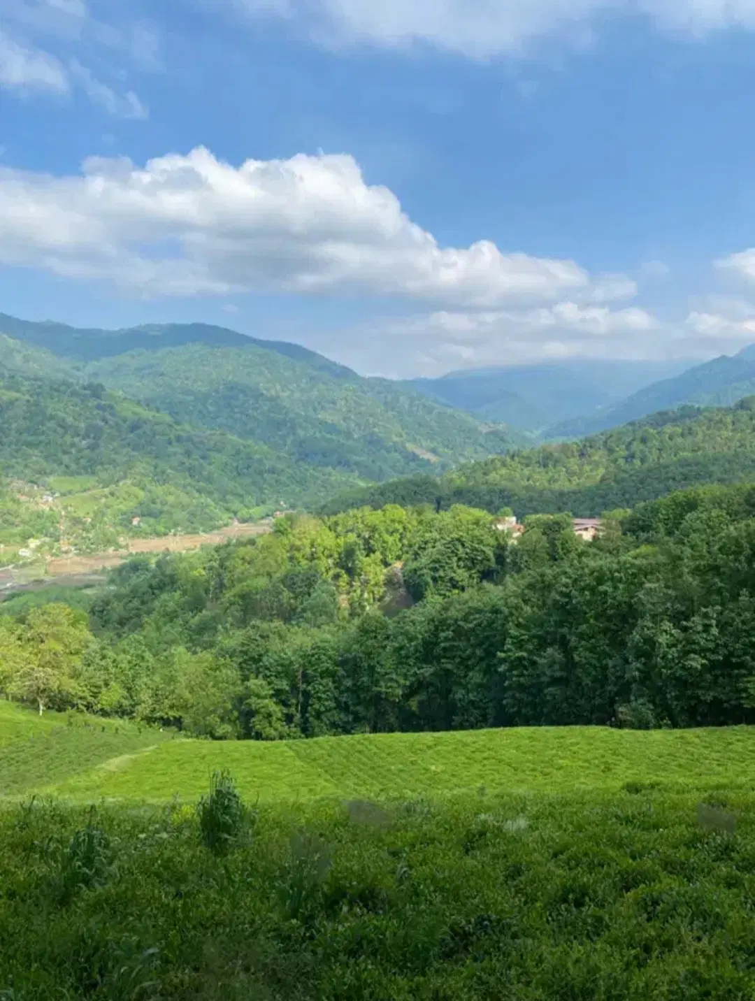 ۲۰۰متر سند تک برگ مسکونی بام سیاهکل محصور شده
