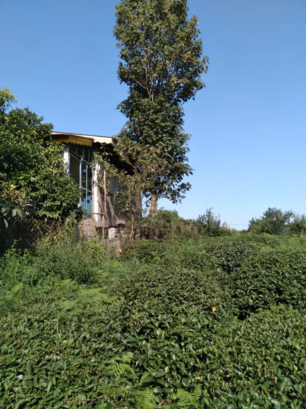 زمین باکاربری