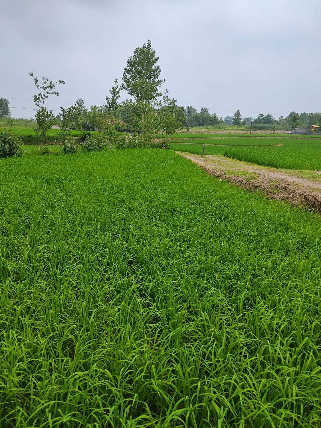 زمین در جای دنج آرام