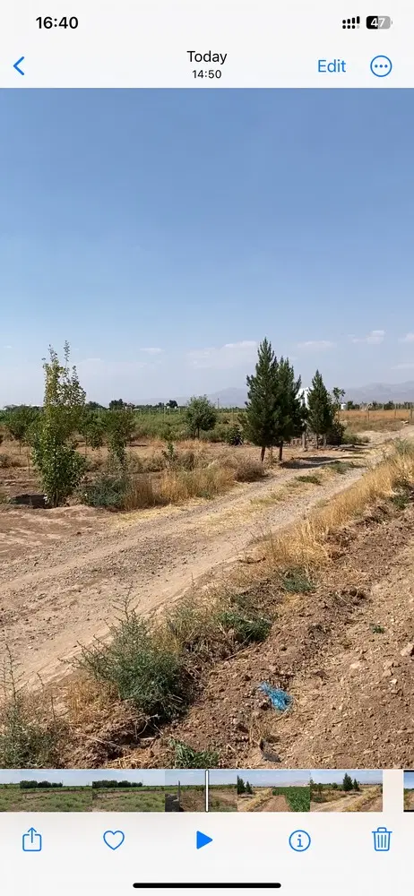 فروش زمین باغی ۵۰۰متری جاده اجمداباد