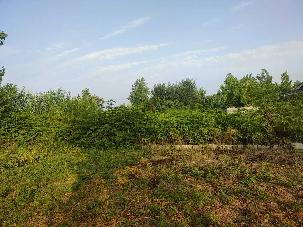زمین مسکونی