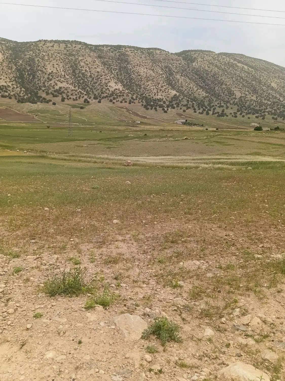 یک قطعه زمین براصلی جاده سراب ایوان سندتک برگ