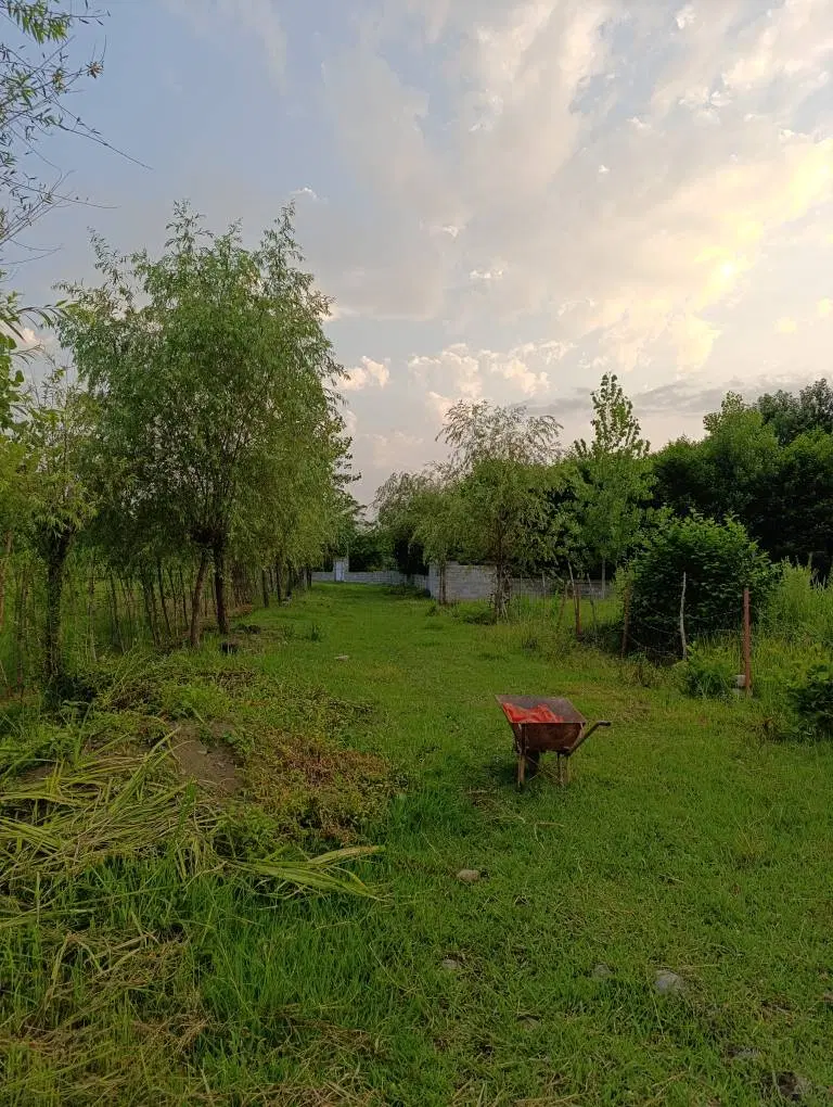 زمین خارج از طرح ۴۰متری بافت مسکونی روستای لیش