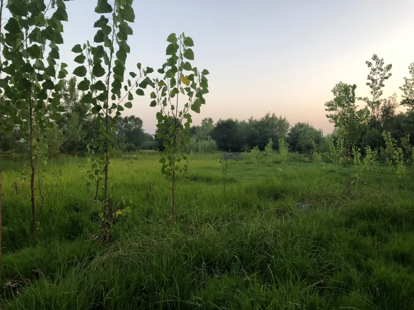 زمین جهت ساخت و سرمایه گذاری