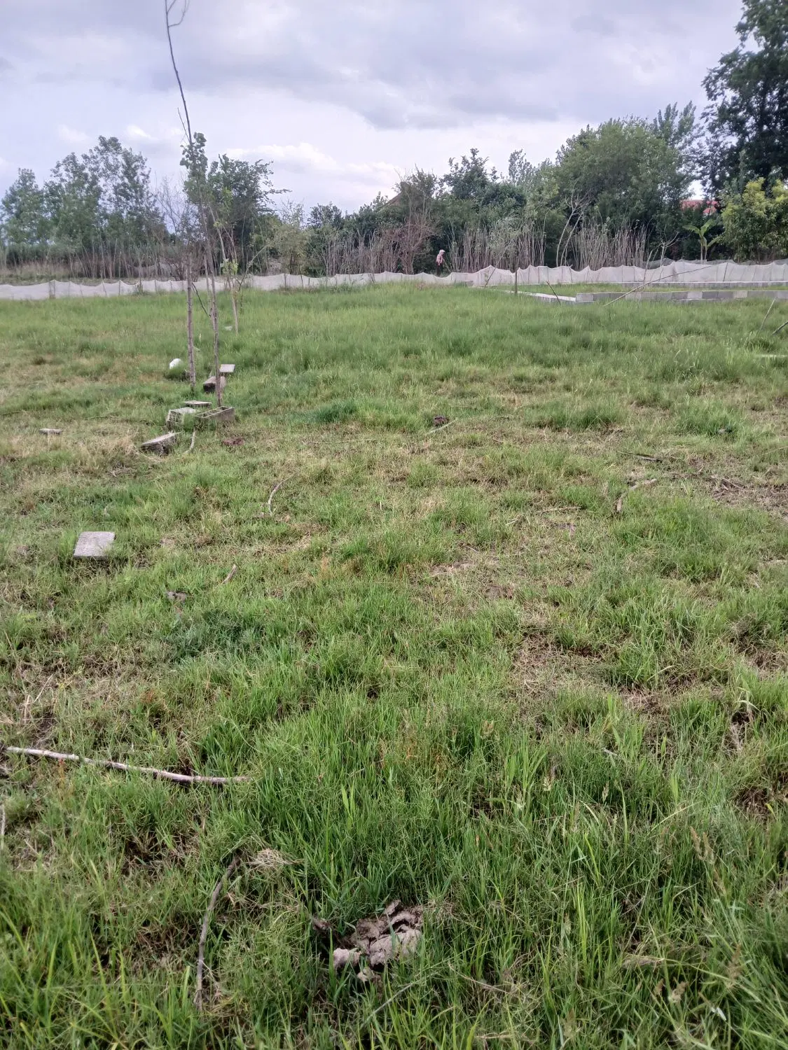 فروش زمین کاربری باعی داخل طرح هادی چسب مسکونی