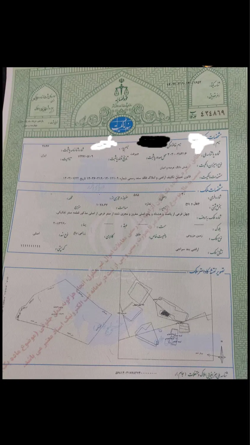 ۴۰قصب زمین همراه با درخت خرما پرتقال دوتا اتاق