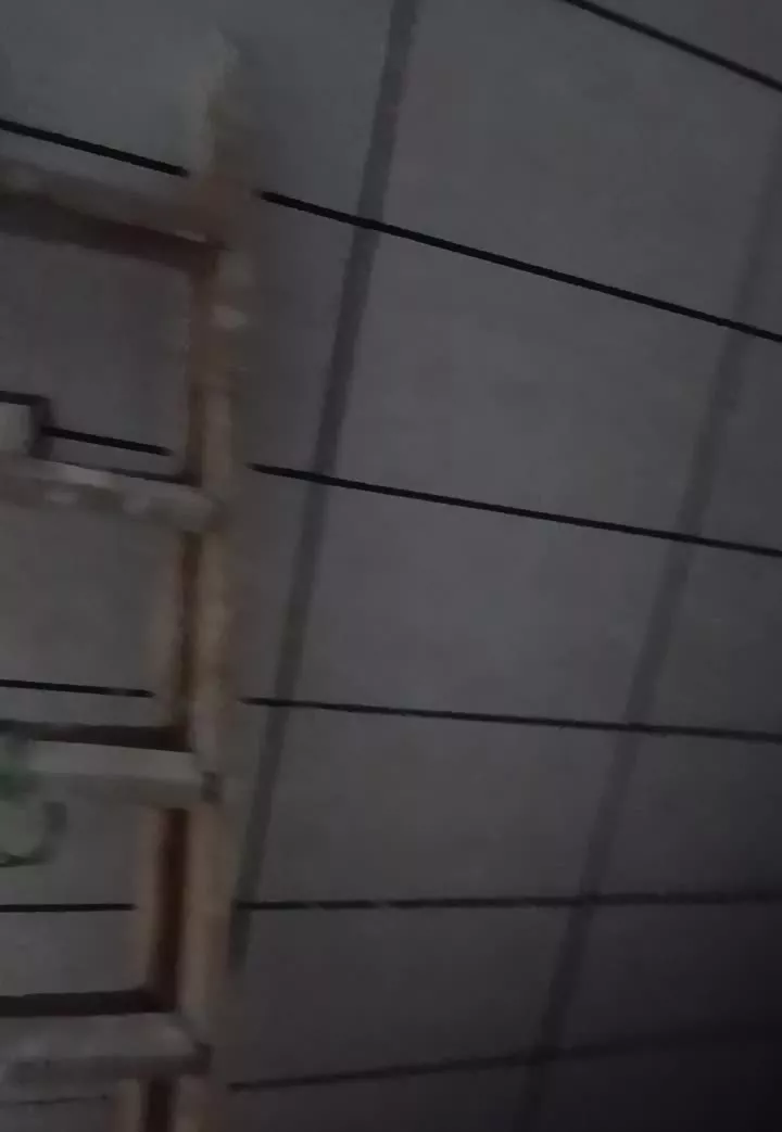 اجاره اپارتمان