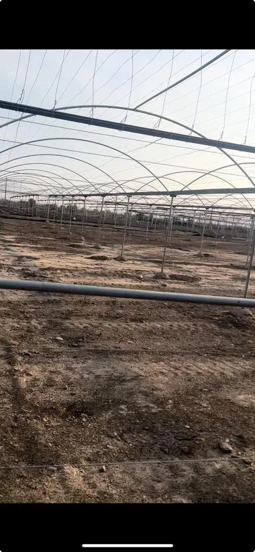 اجاره گلخانه