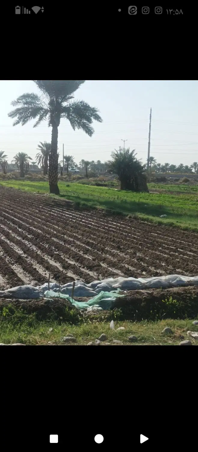 اجاره زمین کشاورزی