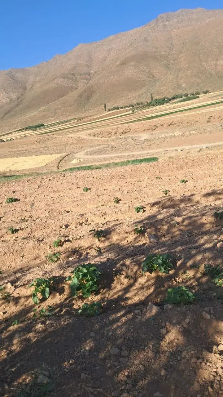 فروش زمین کشاورزی خوانسار روبه رو دستای دوش خراط