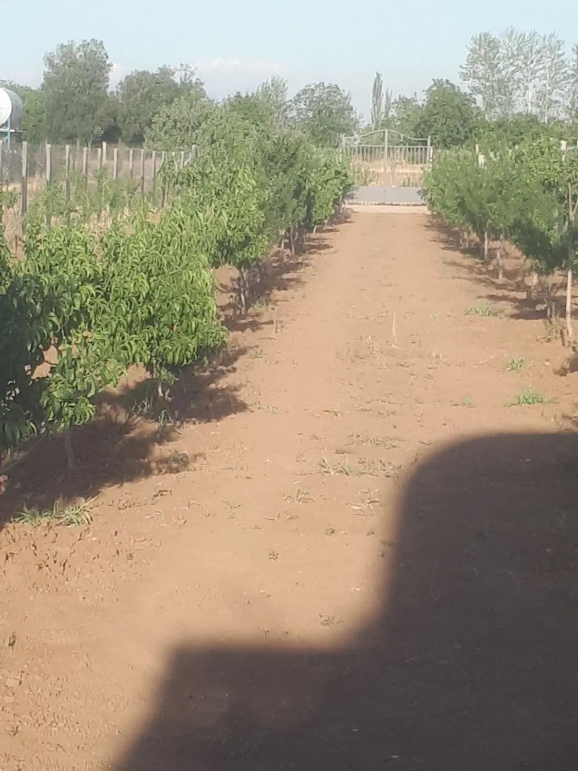 معاوضه با واحد آپارتمان مابقی نقدی