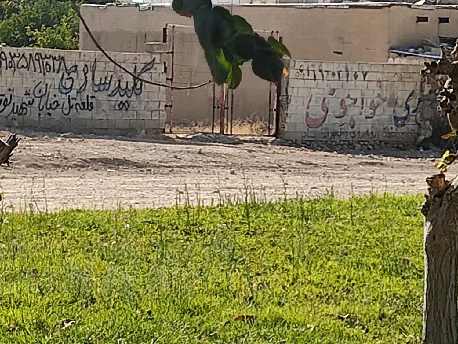 زمین مسکونی