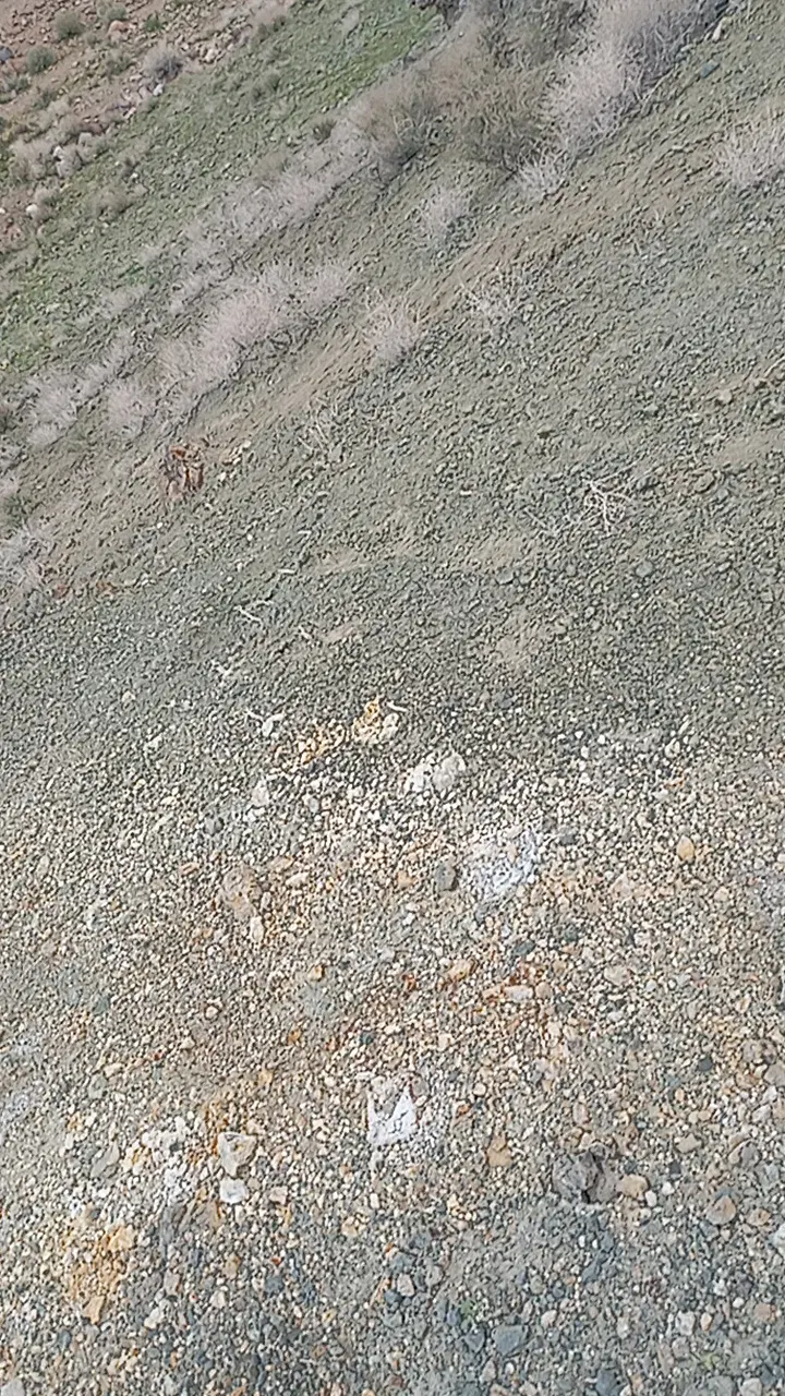 هزار متر زمین در شهرستان شهربابک. علی آباد