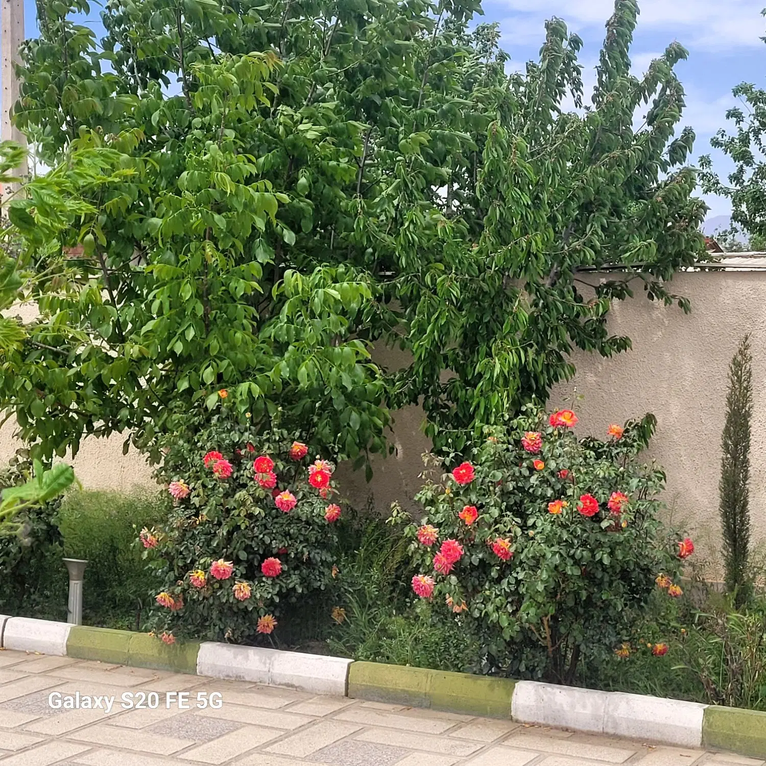 اجاره باغ ویلا ، تهراندشت