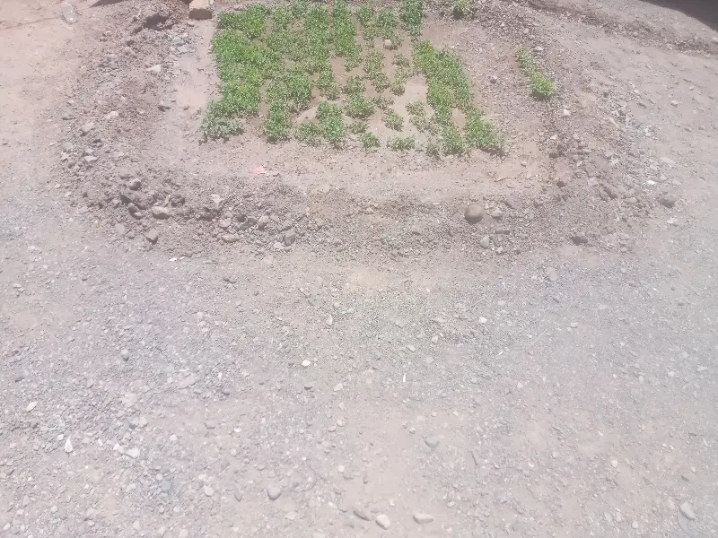 زمین روستایی ملک