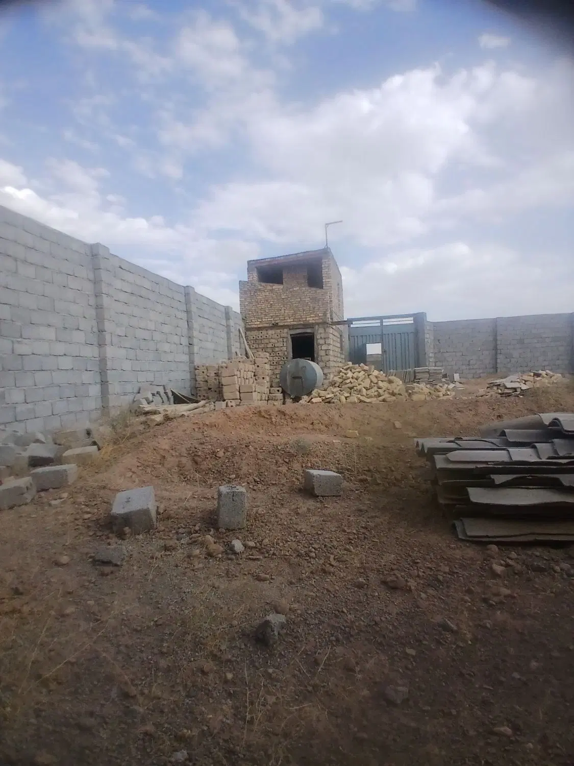 دامداری