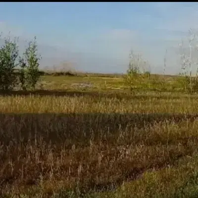 زمین کشاورزی یا باغ