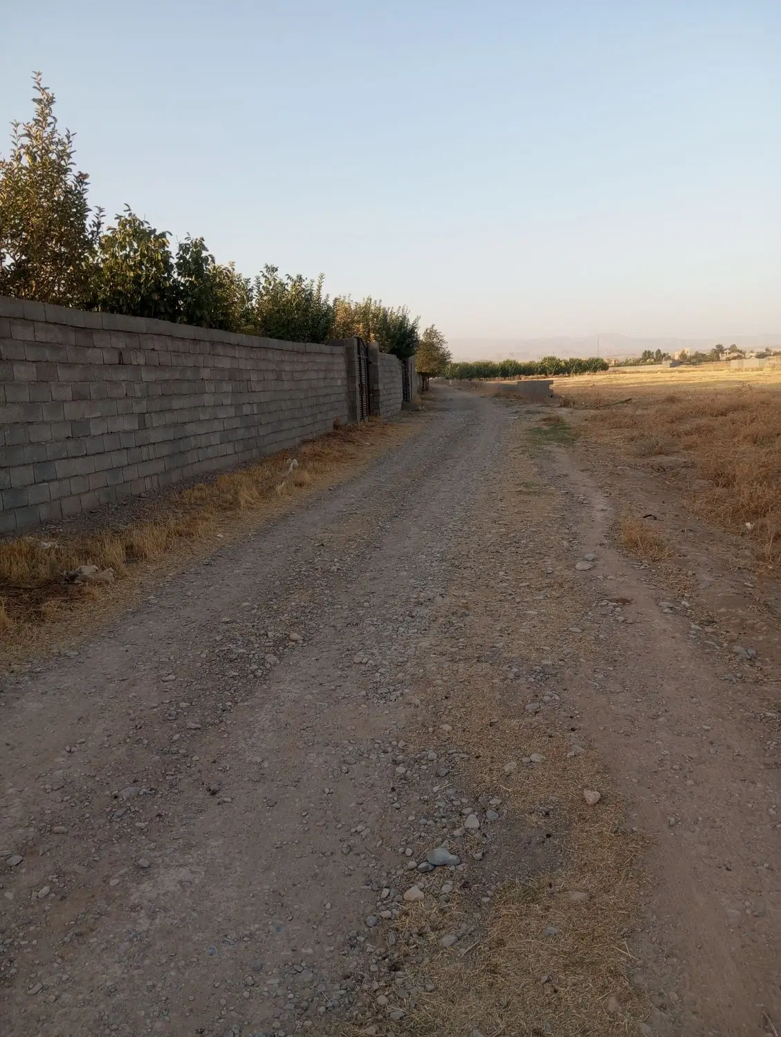 باغ 500متری در روستای زاک