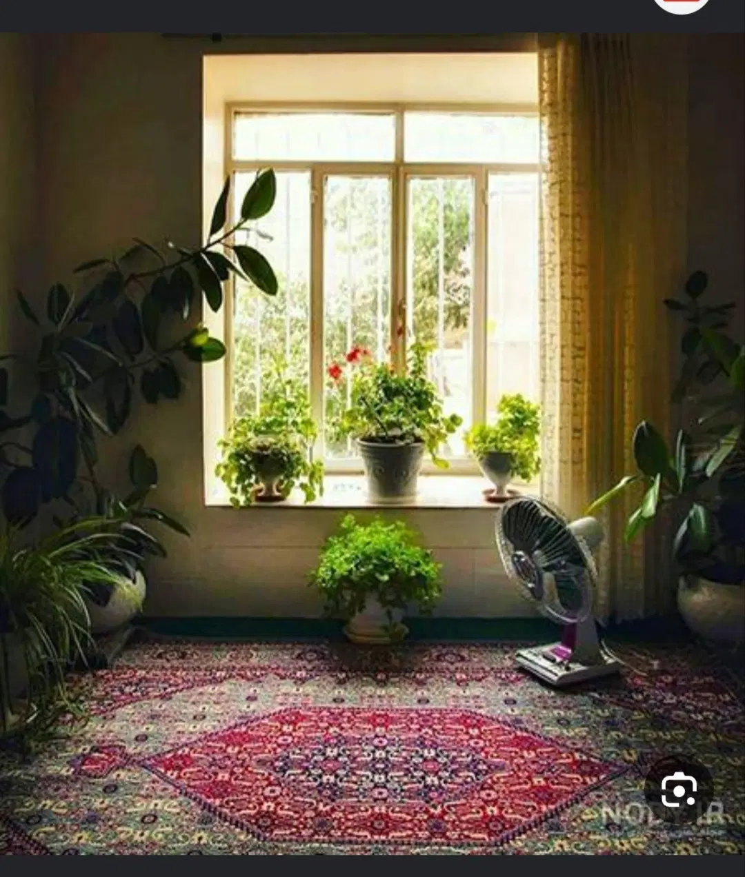 اجاره واحد۶۰ متری مسکونی