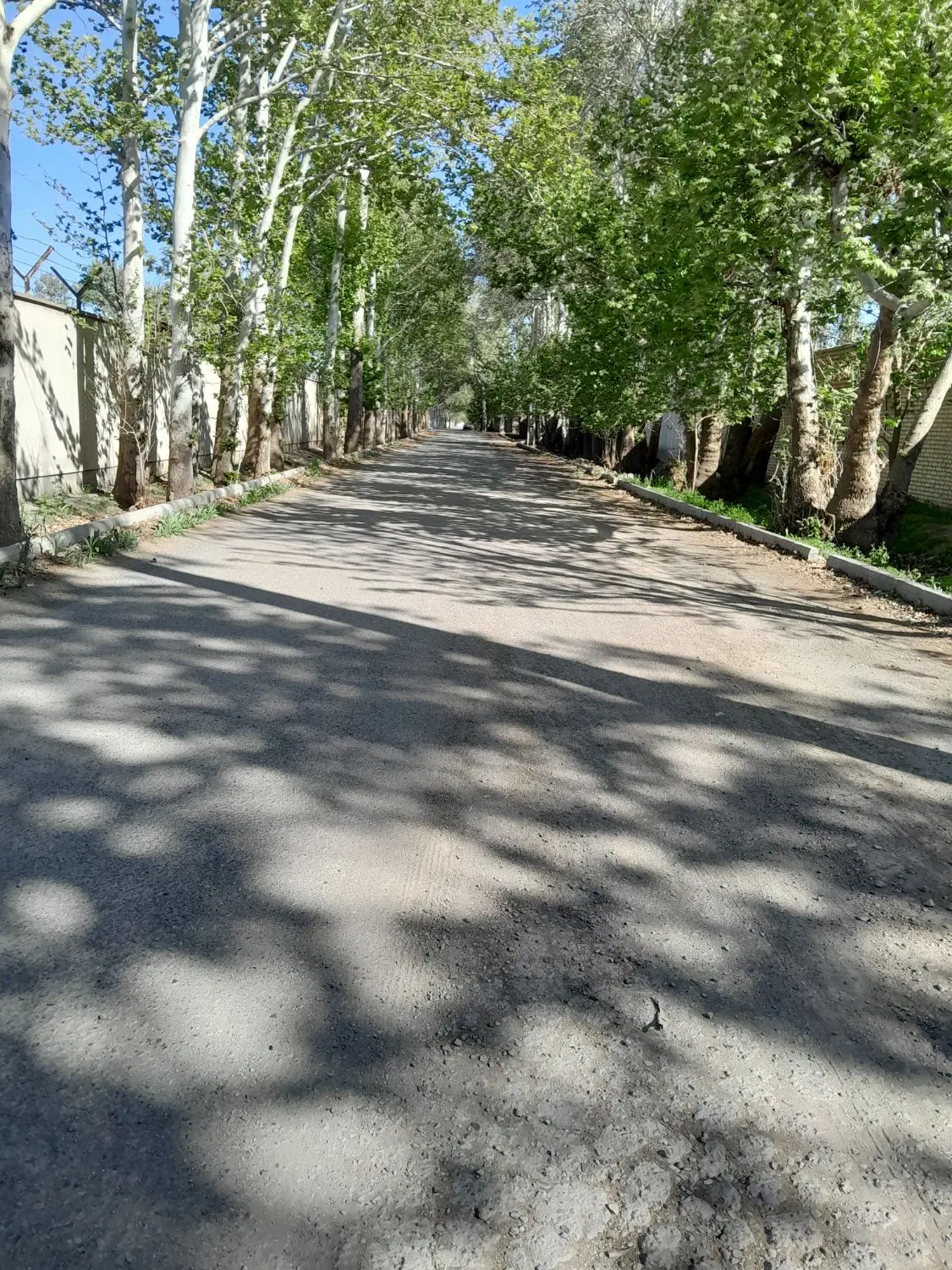زمین ۳۰۰متری شهرکی خیابان جم