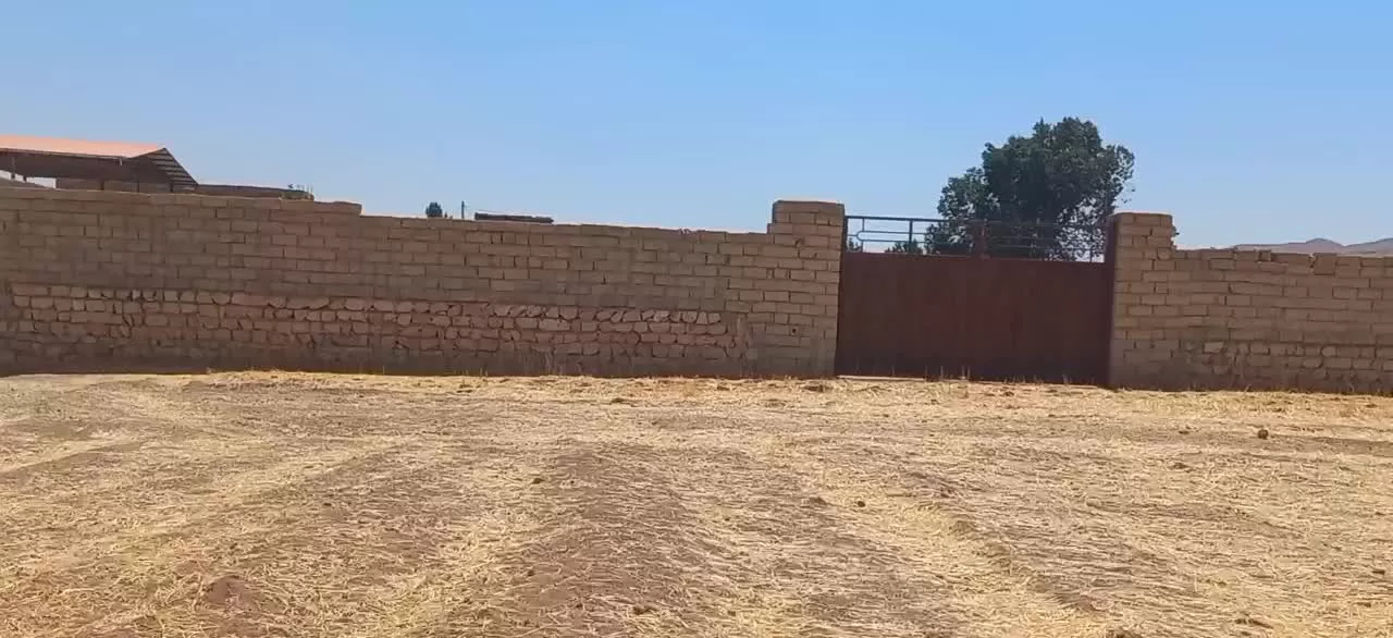 گاوداری فروش