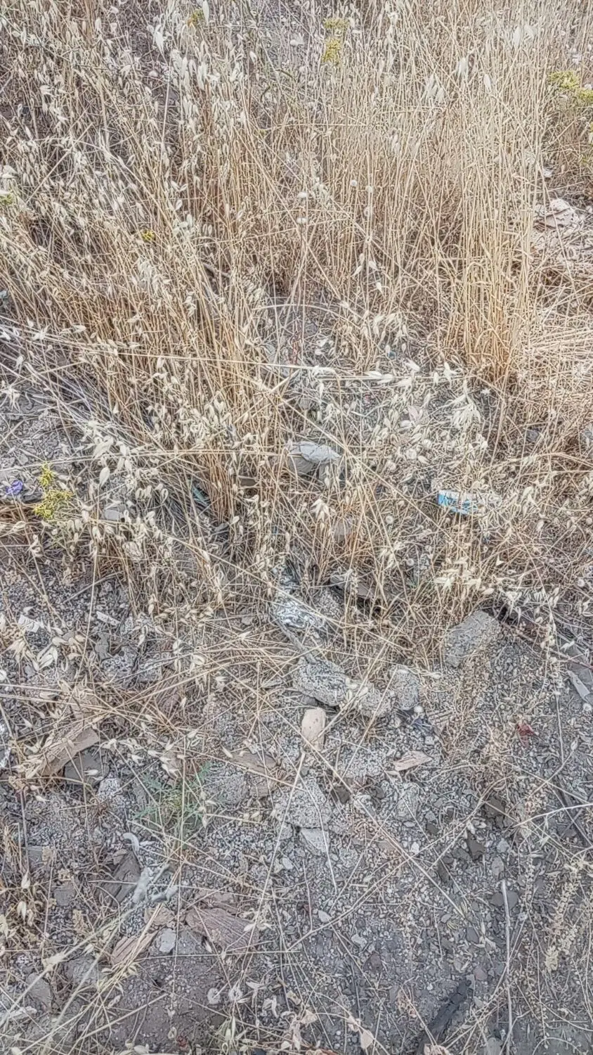 فروش زمین زراعی