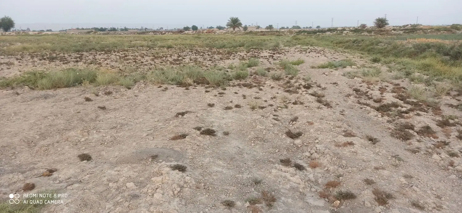 زمین کشاورزی ۲۰۰۰متر