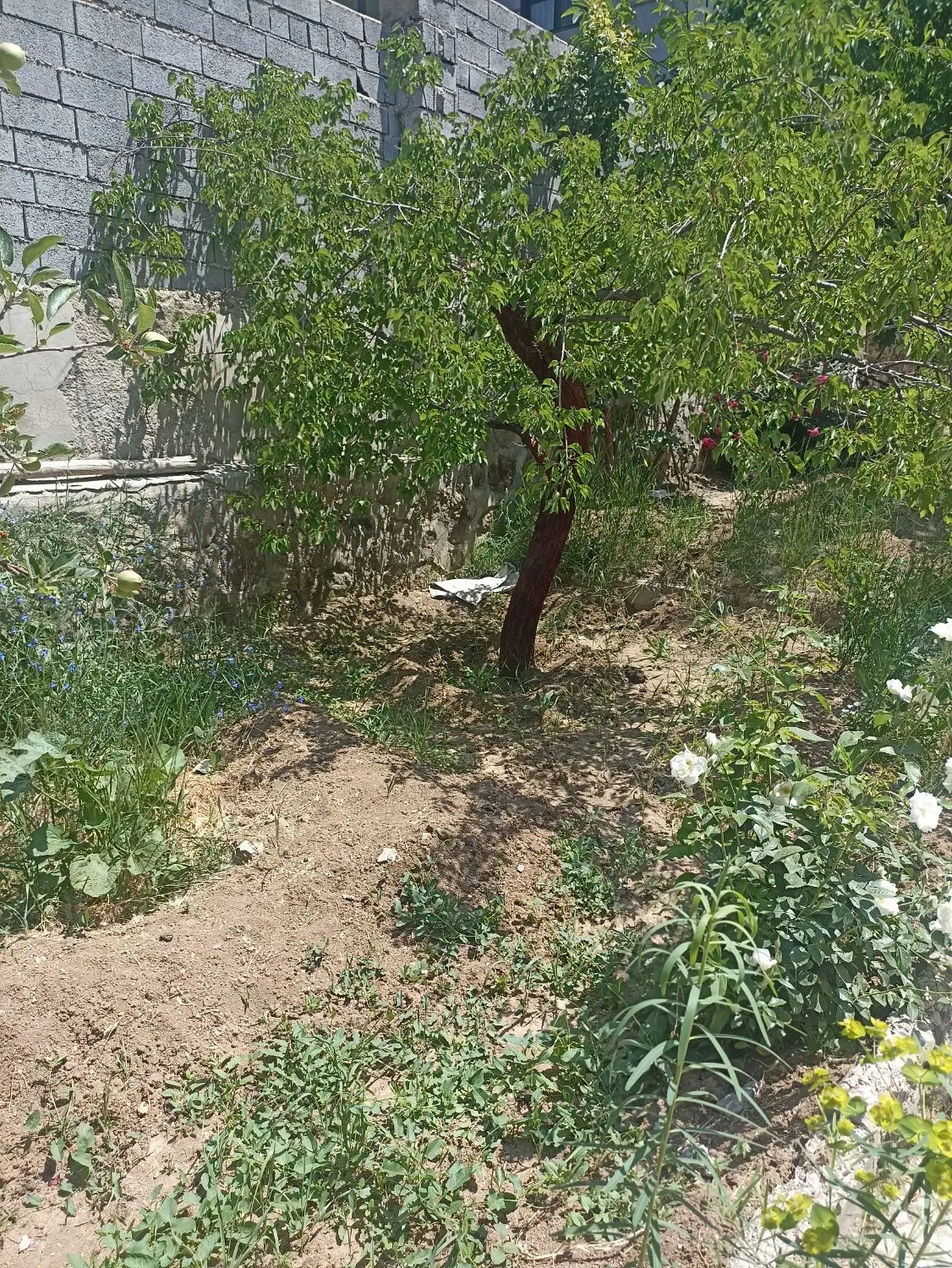 ۵۰۰ متر ویلایی