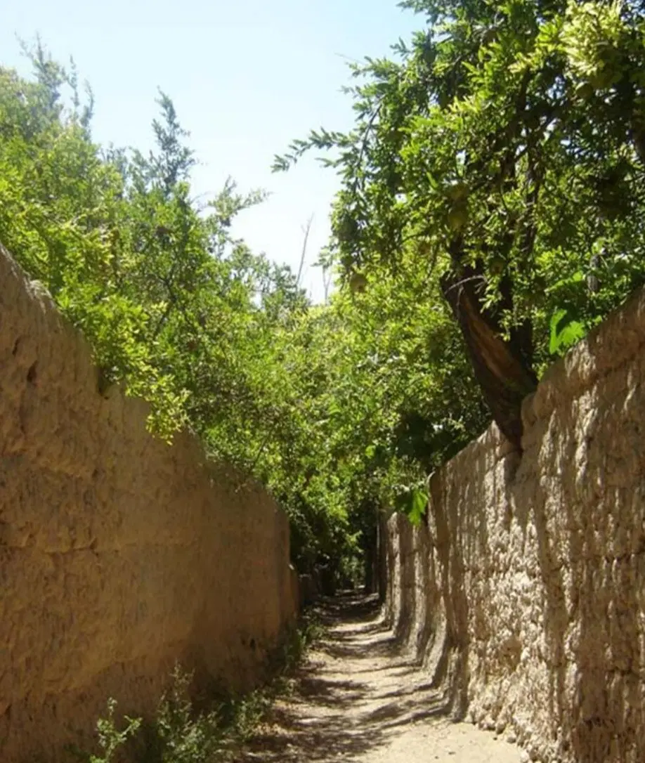 اجاره باغ محدوده محلات ب کشاورز