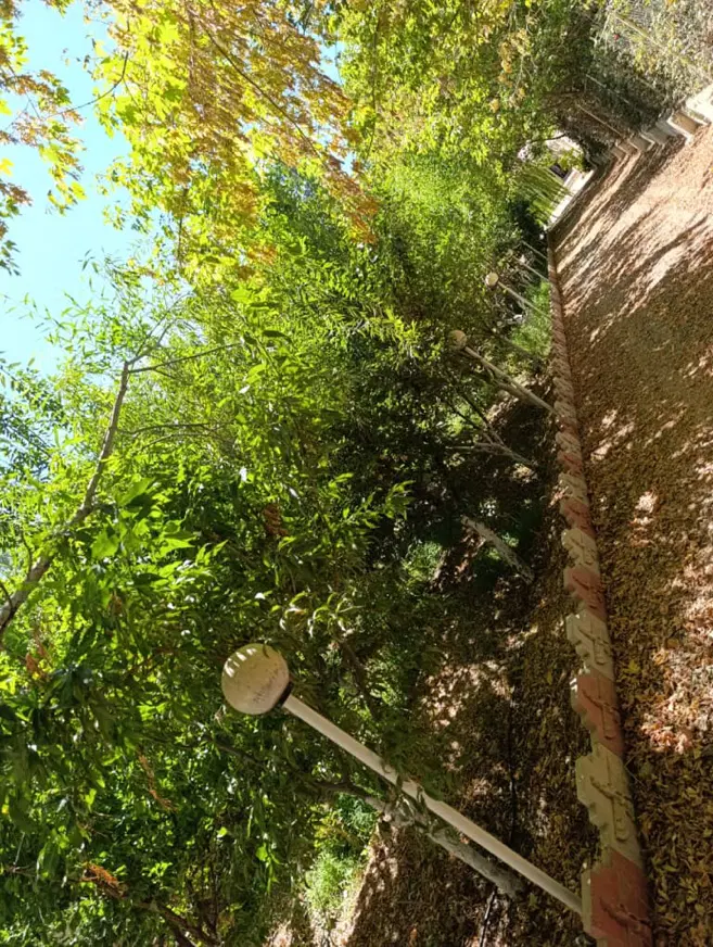 ویلا چهارباغ ۱۱۰۰ متری داخل شهرک دهکده ورزشی