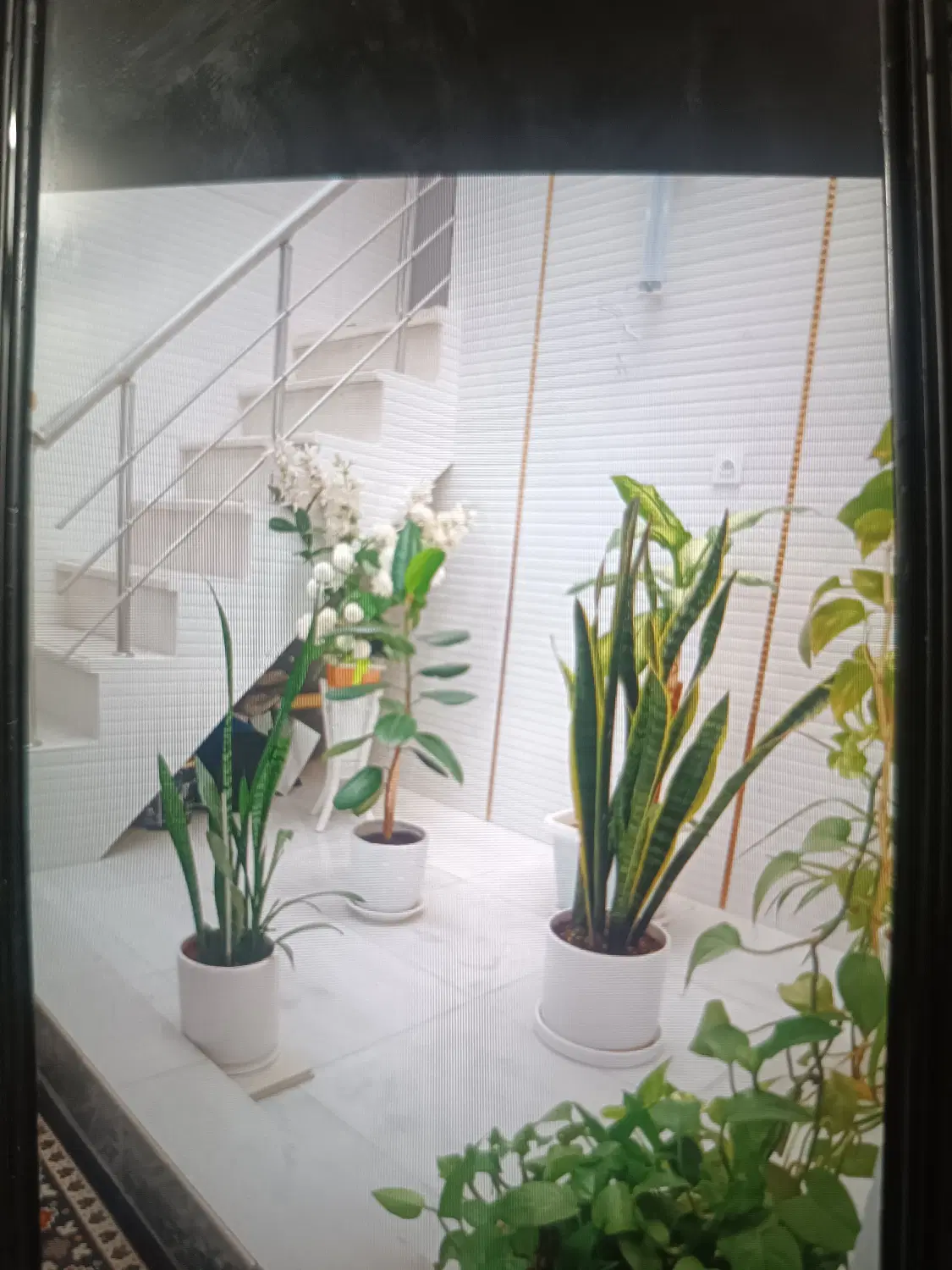 ویلای 200متری در آزادگان
