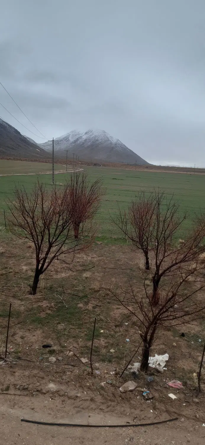 زمین ۲۰۰متری معلمیان