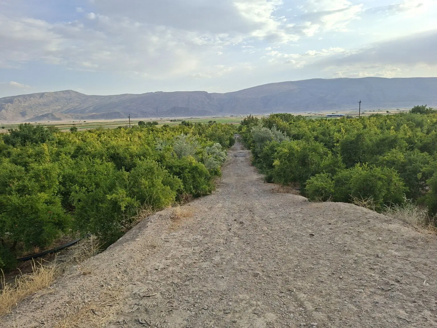 فروش باغ شهری۱هکتاری با خانه۲خوابه و نمای سلطنتی