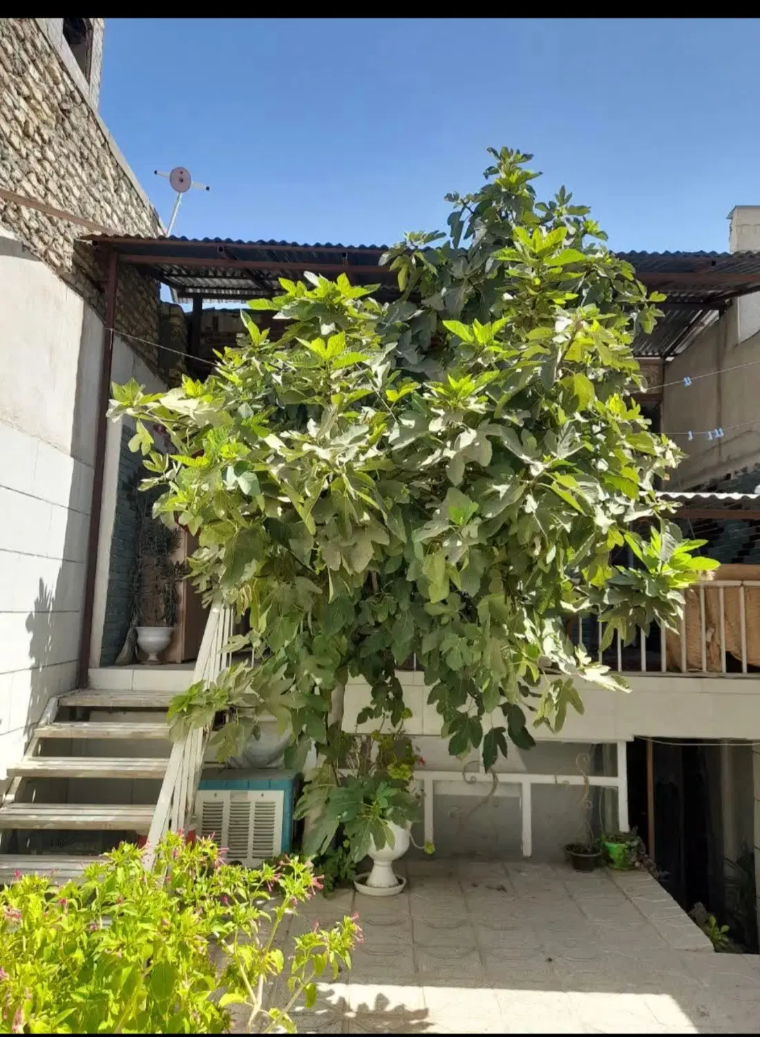 خونه ویلایی دوطبقه دربست سند دار