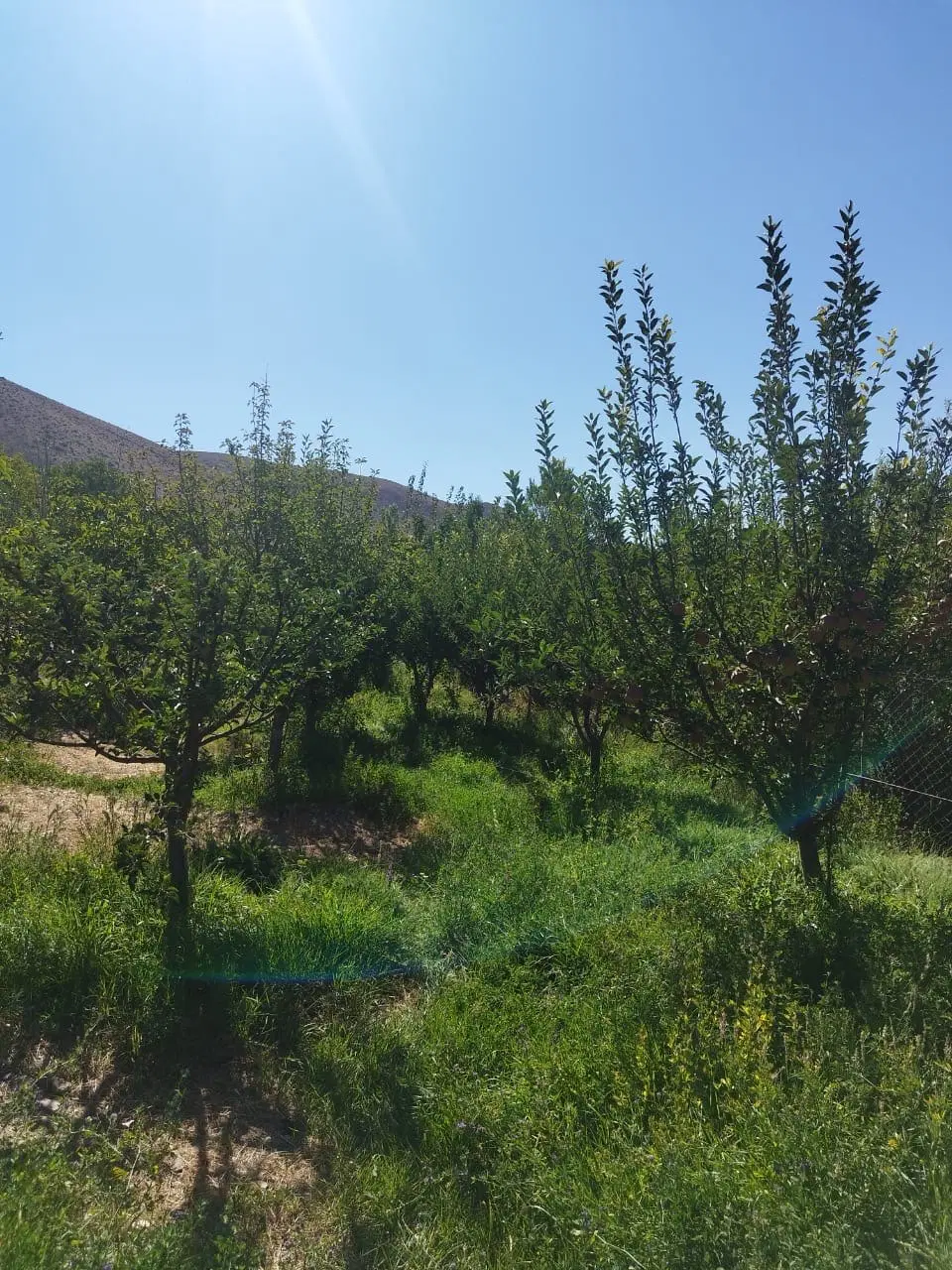 فروش زمین ۸۸۰۰متری