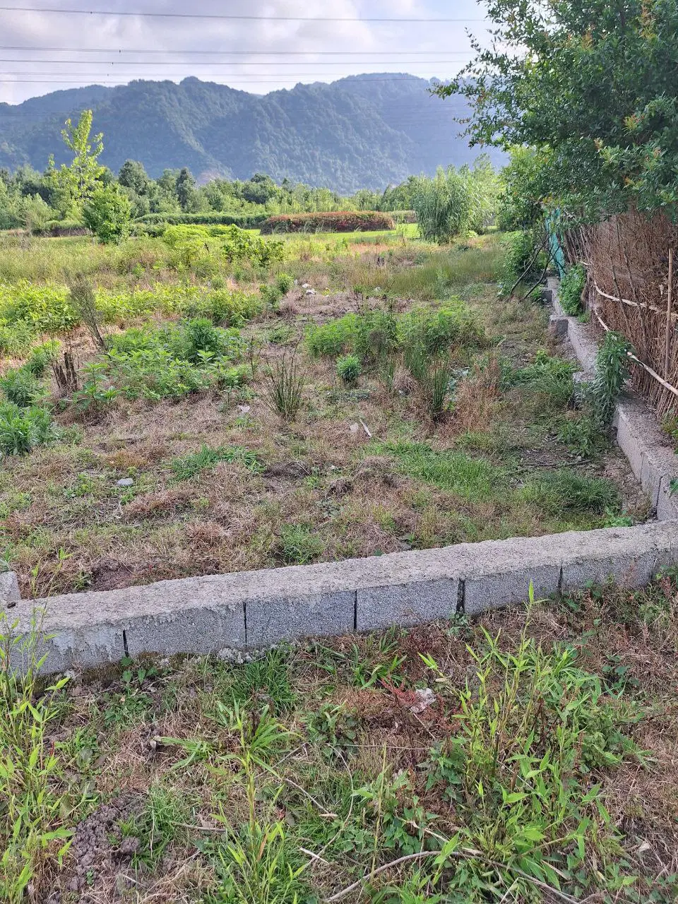 فروش زمین