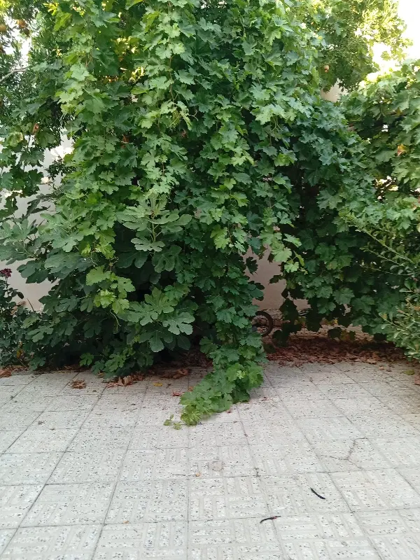 فروش یک باب منزل مسکونی واقع در اسفهران