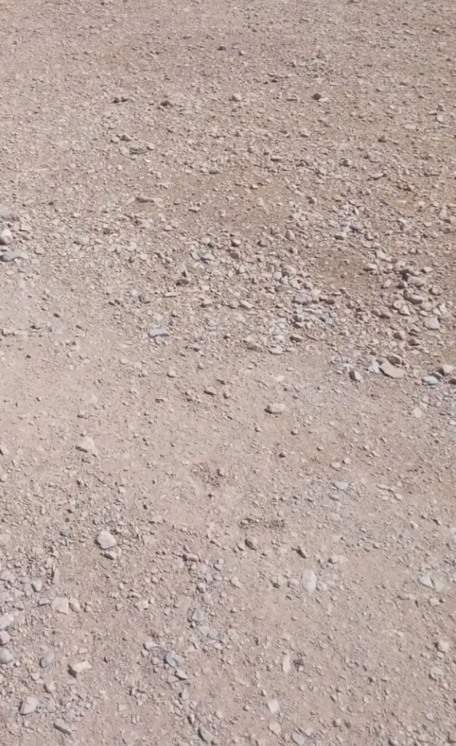 زمین واقع در بردگپی کوچه سوسن