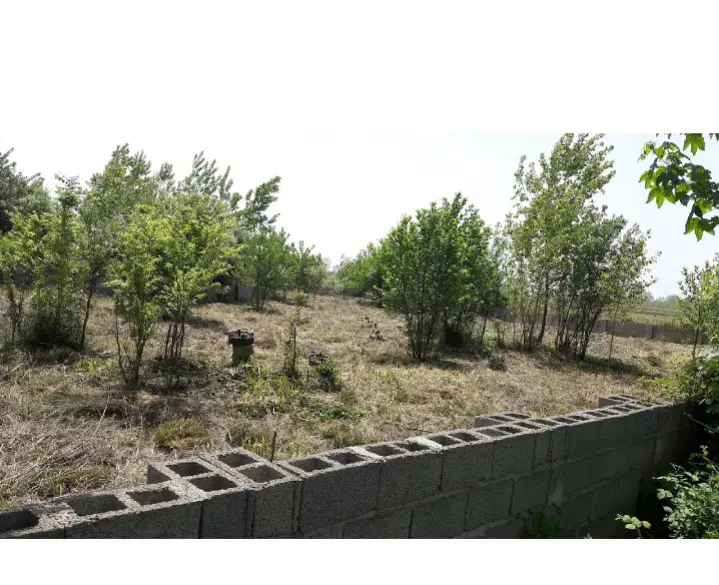 زمین باغی زراعی در پیربازار