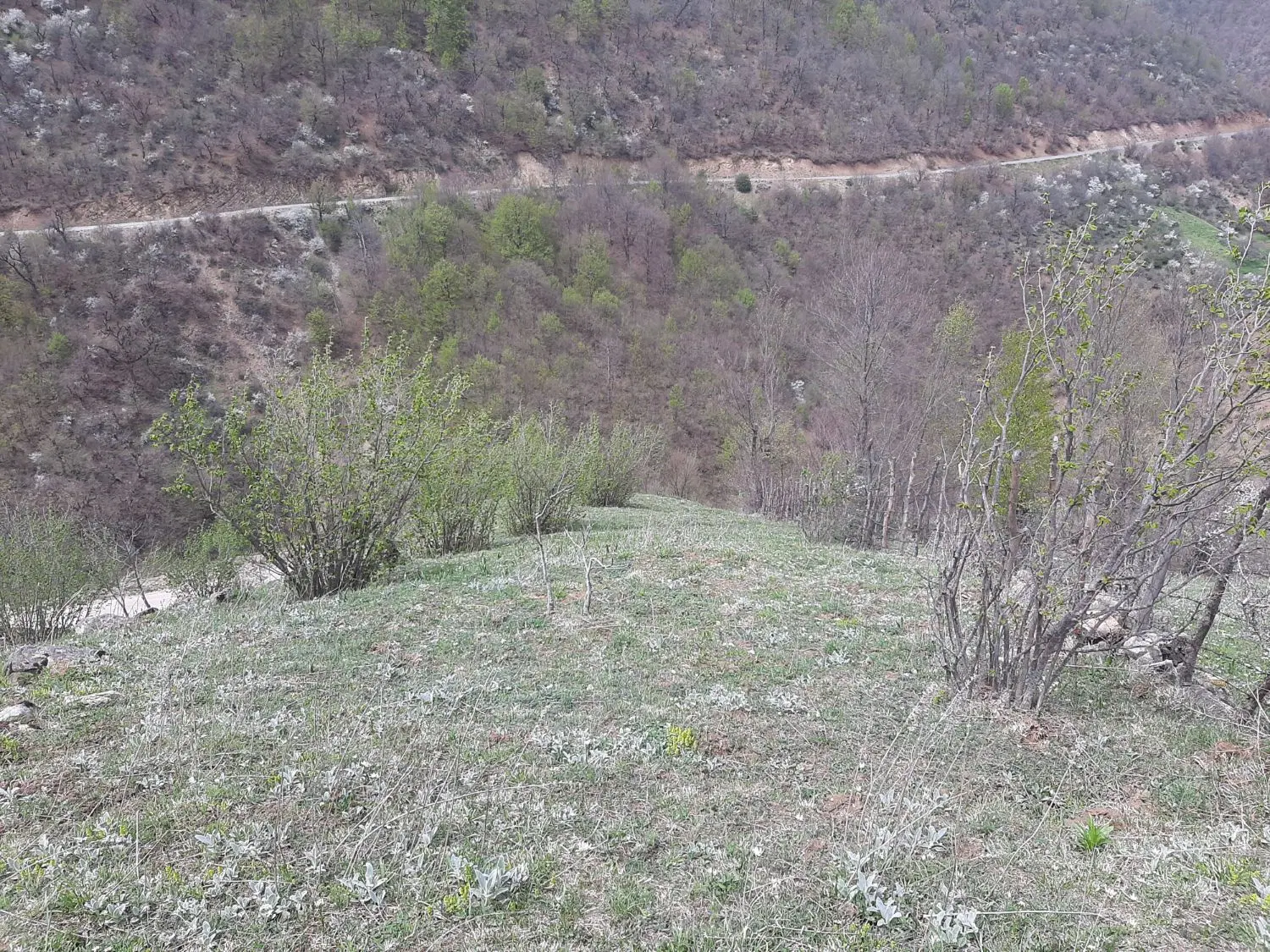 فروش زمین