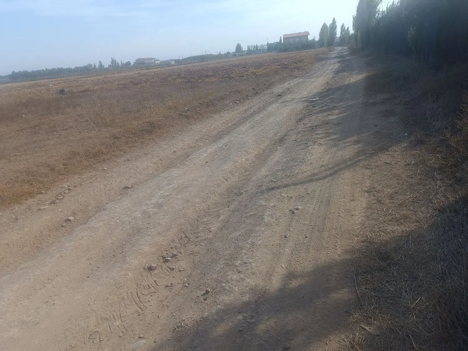 زمین باغ