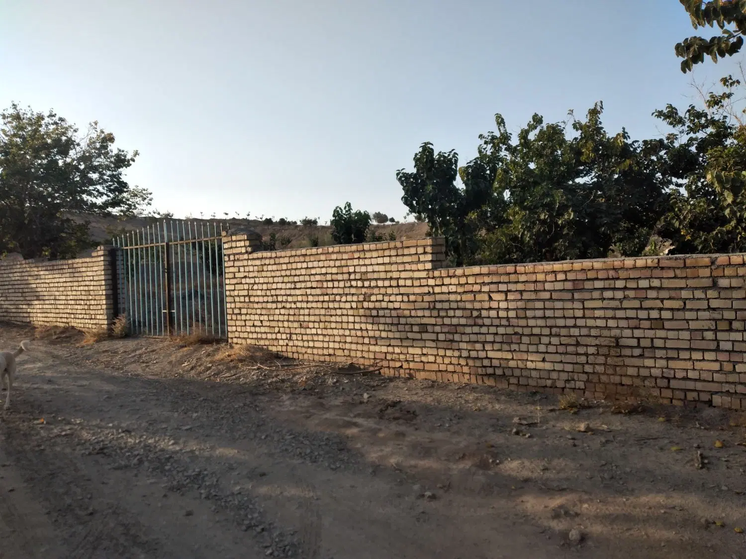 فروش زمین باغی