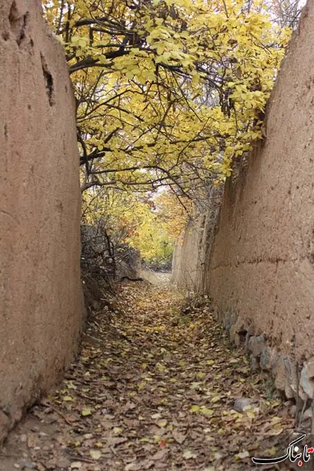 باغ در داخل شهر